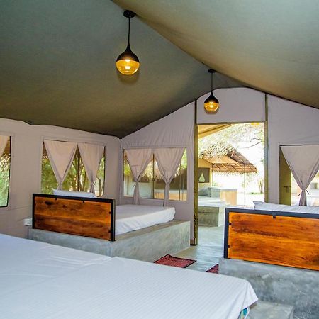Yala Wild Hut - Yala Hotel Tissamaharama Buitenkant foto