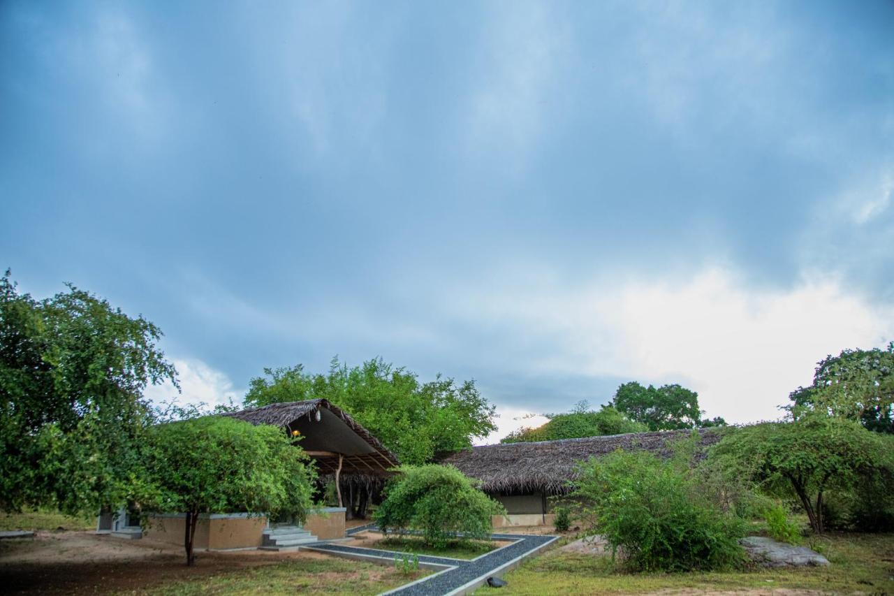 Yala Wild Hut - Yala Hotel Tissamaharama Buitenkant foto