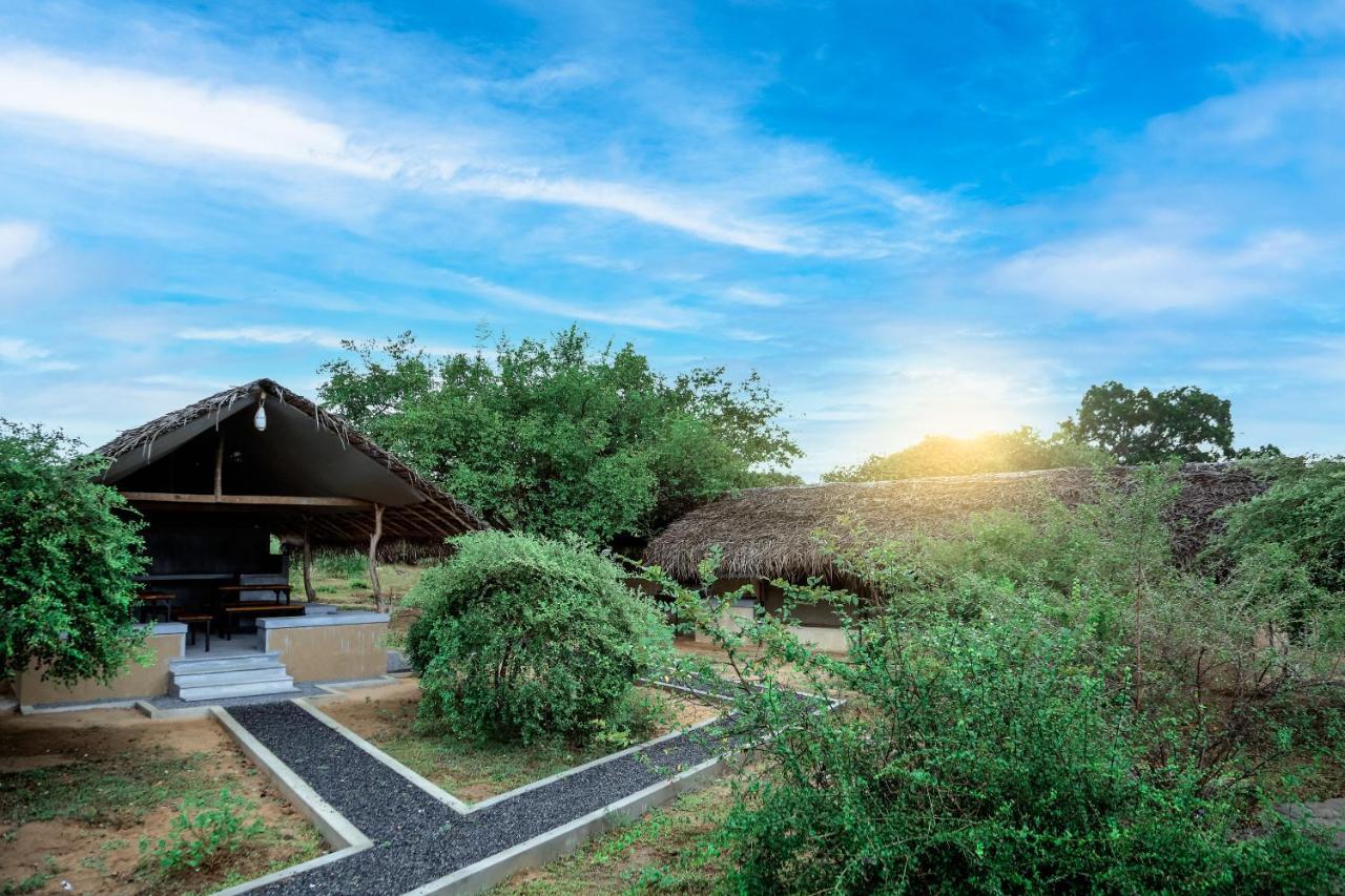 Yala Wild Hut - Yala Hotel Tissamaharama Buitenkant foto