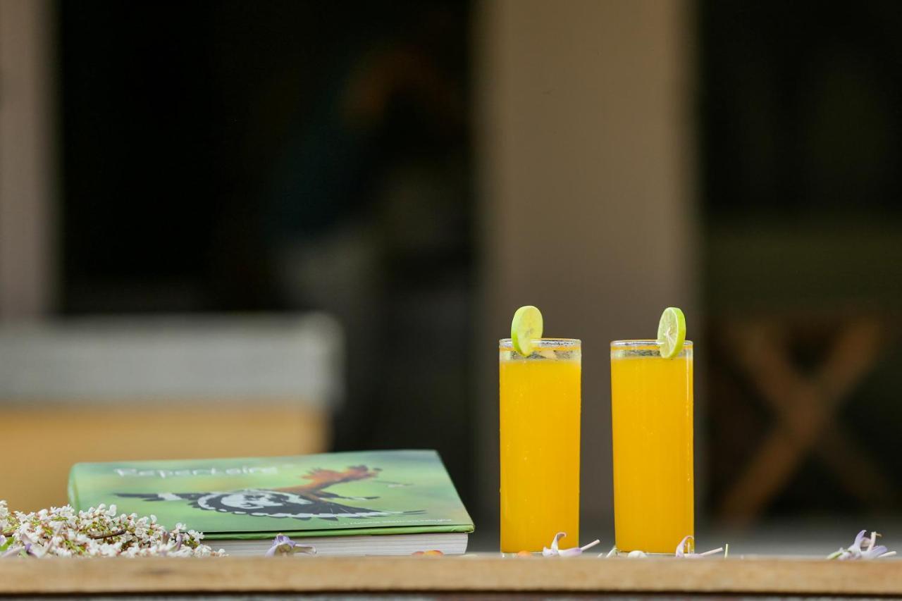 Yala Wild Hut - Yala Hotel Tissamaharama Buitenkant foto
