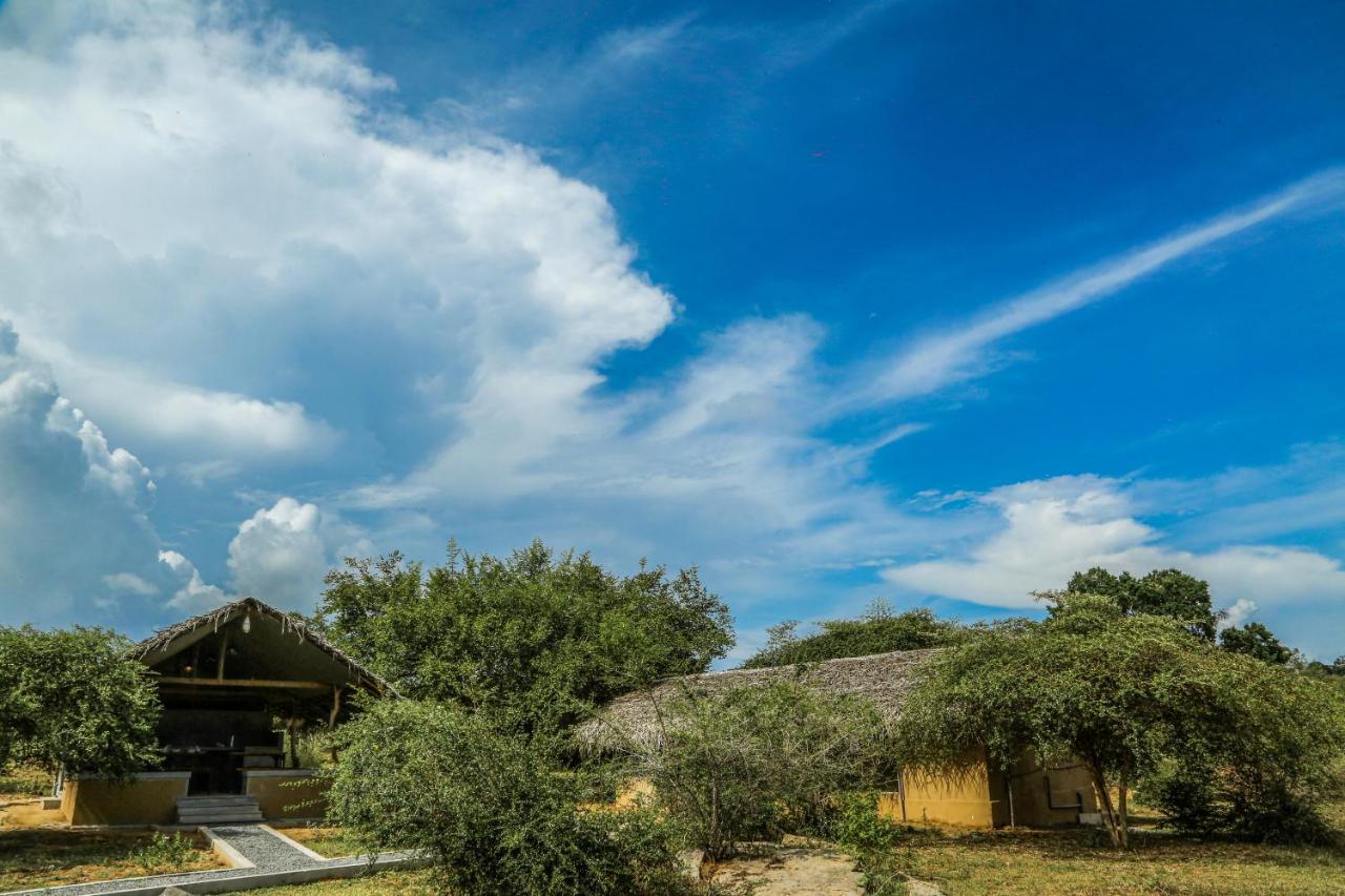 Yala Wild Hut - Yala Hotel Tissamaharama Buitenkant foto