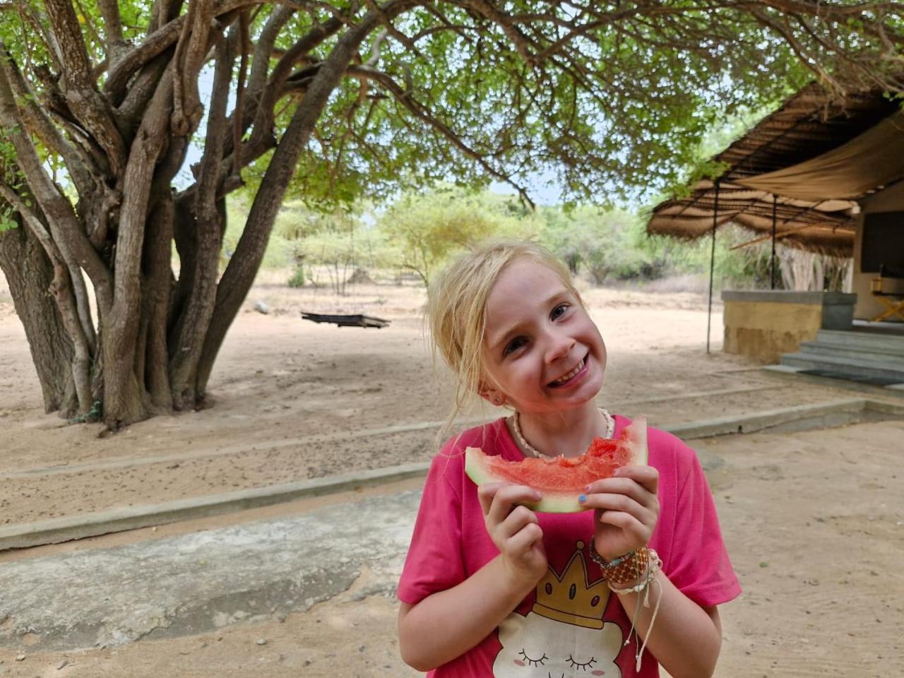 Yala Wild Hut - Yala Hotel Tissamaharama Buitenkant foto