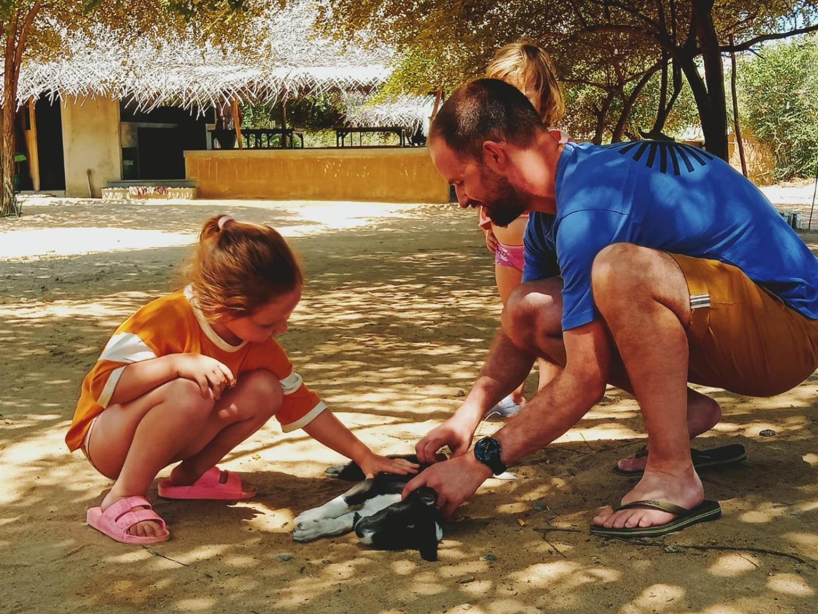Yala Wild Hut - Yala Hotel Tissamaharama Buitenkant foto
